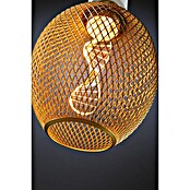 Paulmann LED žarulja MG Globe Metallic Glow Helix  (E27, Reguliranje: Bez prigušivanja, Topla bijela, 130 lm, 3,5 W, Mjed) | BAUHAUS