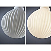 Paulmann LED-Lampe White Lampion Globe G125 V2 (E27, Dimmbar, Warmweiß, 400 lm, 4 W, Lampenform: Rund) | BAUHAUS