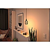 Paulmann Bombilla LED Metallic Glow Hélice (E27, No regulable, Blanco cálido, 110 lm, 3,5 W, 1 ud., Negro) | BAUHAUS