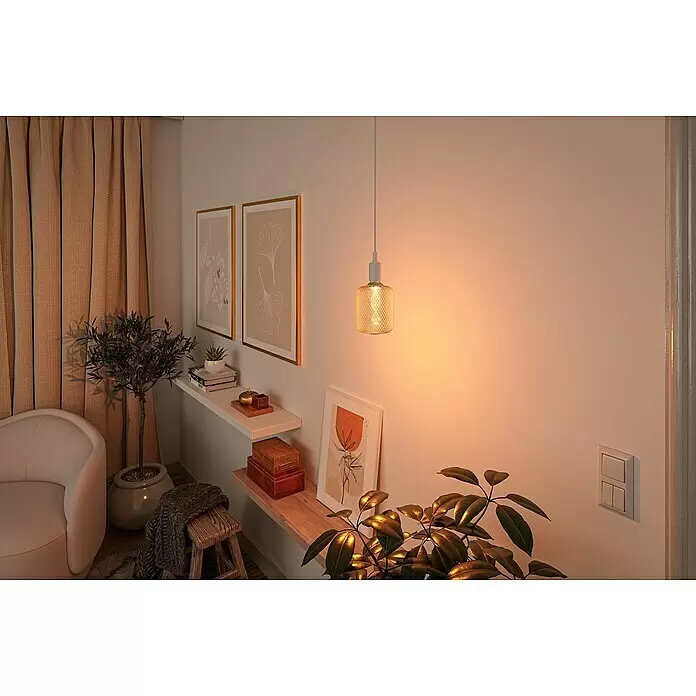 Paulmann LED-Lampe Metallic Glow - E27, Nicht Dimmbar, Warmweiß, 130 lm, 3,5 W, Messing - Eine goldene Pendelleuchte mit Netzschirm beleuchtet einen gemütlichen Raum mit warmem Licht und hebt Regale und Pflanzen hervor.