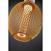 Paulmann LED žarulja MG Globe Metallic Glow Spiral  (E27, Reguliranje: Bez prigušivanja, Topla bijela, 200 lm, 4,2 W, Mjed) | BAUHAUS