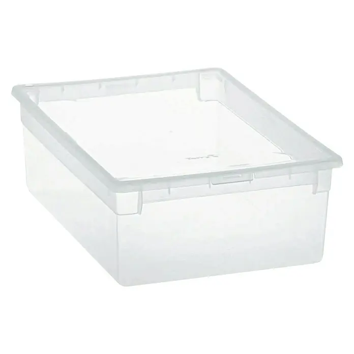 Terry Light Box Caja de almacenaje - 27,8 x 39,6 x 13,2 cm, Capacidad volumétrica: 12 l - Caja de almacenamiento de plástico transparente con tapa, diseñada para organizar objetos.