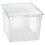 Terry Light Box Caja con tapa (37,6 x 52 x 31 cm, Capacidad: 50 l)