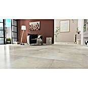 Feinsteinzeugfliese Premium Marble (60 x 60 cm, Beige/Braun, Poliert)