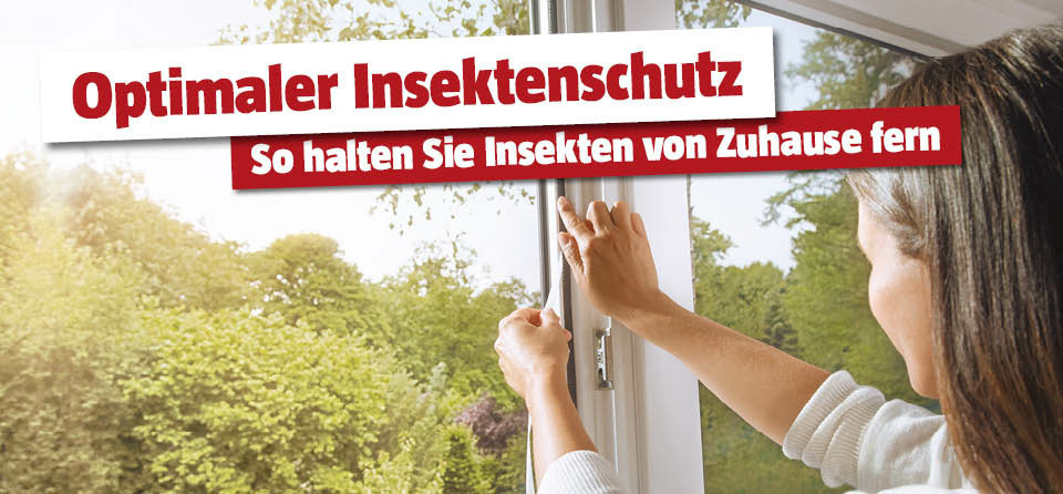 Insektenschutz