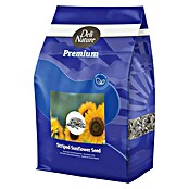 Deli Nature Vogelvoer Premium Zonnepit (2,5 kg) | BAUHAUS
