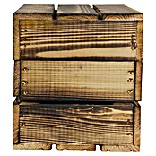 Holzkiste Assos (L x B x H: 27,5 x 20 x 21,5 cm, Braun) | BAUHAUS