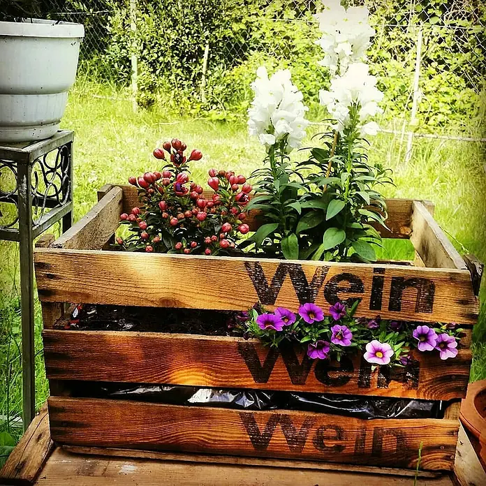 Holzkiste Badische Weinkiste "Wein Wein Wein" - L x B x H: 50 x 35 x 28 cm, Braun - Blumenkasten aus Holz mit der Aufschrift "Wein", gefüllt mit bunten Blumen, darunter rote Beeren und lila Blüten. Eine charmante Gartendekoration.