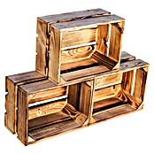 Holzkiste Frieda (L x B x H: 30 x 22 x 16 cm, Braun) | BAUHAUS