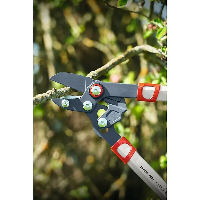 Wolf-Garten Astschere RS 650 - Max. Aststärke: 40 mm, Amboss, Länge: 65 cm - Nahaufnahme einer Astschere beim Beschneiden eines Astes im Garten, die auf ihre Schneidwirkung und das einfache Beschneiden von Gartenpflanzen hinweist.