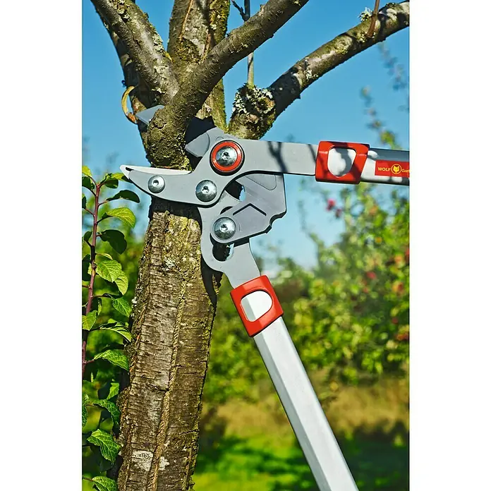 Wolf-Garten Astschere RS 650 - Max. Aststärke: 40 mm, Amboss, Länge: 65 cm - Nahaufnahme einer Wolf Garten Baumscheren beim Beschneiden eines Astes, mit Fokus auf Präzision und die robuste Bauweise des Werkzeugs.