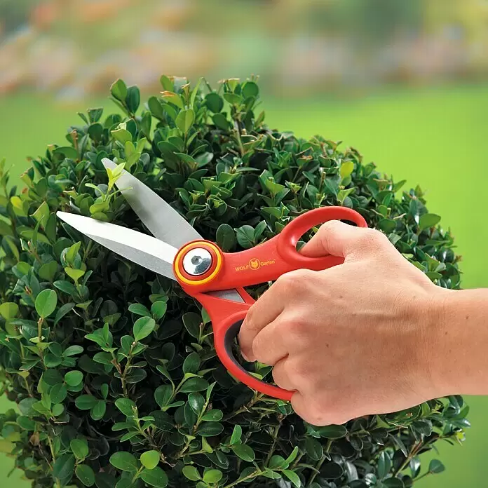 Wolf-Garten Universalschere RA-X - Länge: 18 cm - Rotstielige Heckenschere mit silbernen Klingen trimmt einen grünen Busch, von einer Hand gehalten.