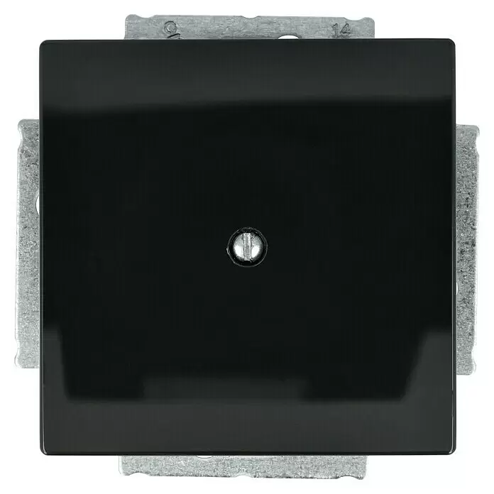 Busch-Jaeger Future Linear Blindabdeckung 1742-81 - Anthrazit, Kunststoff, IP20 - Schwarze, matte, quadratische Elektroabdeckung mit zentraler Silberschraube auf grauem Metallrahmen.