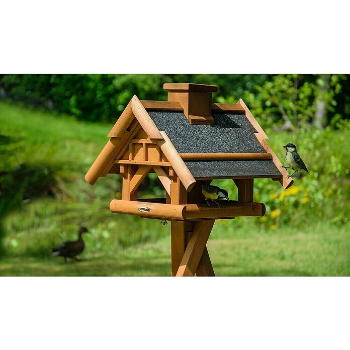 Maison d'oiseaux de jardin avec poteau, mangeoires en métal, piquets de  jardin, maisons d'oiseaux