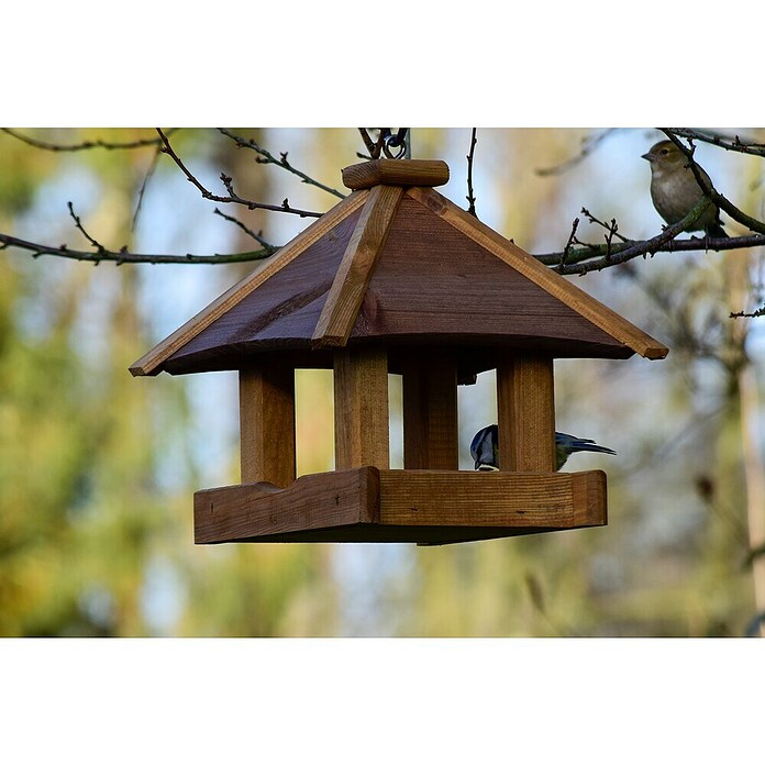 Dobar Vogelfutterhaus zum Aufhängen