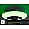 Voltomat Deckenventilator mit LED-Beleuchtung (Silber, Weiß, 60 cm, 40 W, Warmweiß) | BAUHAUS