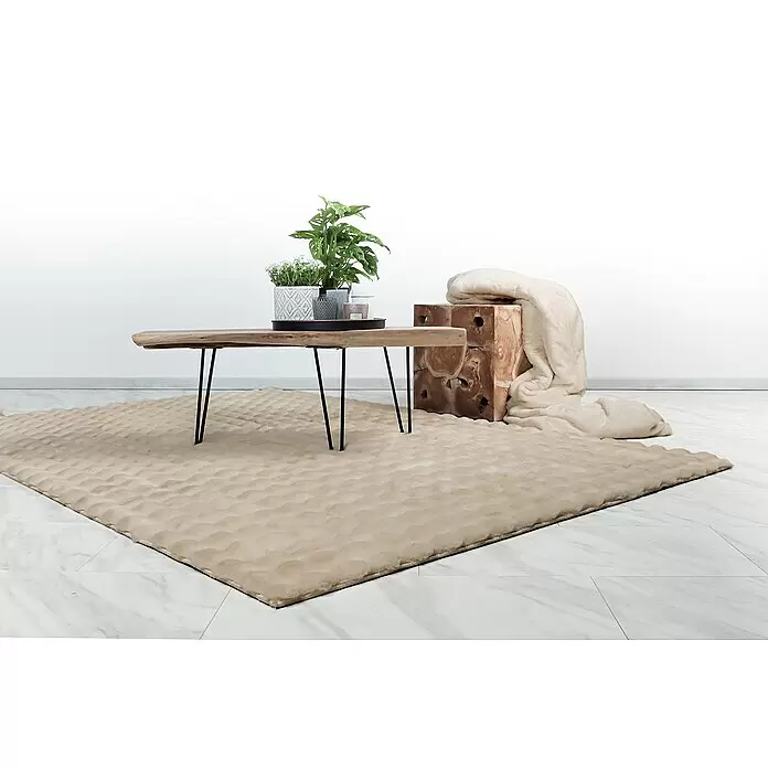 Hochflorteppich Harmony - Beige, 230 x 160 cm, 100 % Polyester (Flor) - Stimmungsaufnahme