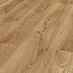 Celli Oak
