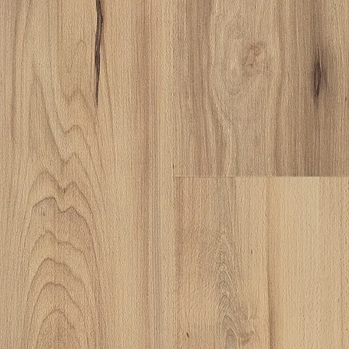 LOGOCLIC Family Laminatmuster Buche Varese297 x 192 x 7 mm, Landhausdiele - Nahaufnahme eines hellen Holzfußbodens, der die natürliche Maserung und Wärme des Holzes hervorhebt.