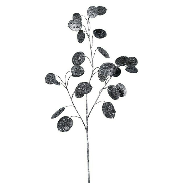 Dekozweige Lunaria (68 cm, Schwarz) | BAUHAUS