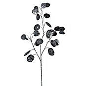 Dekozweige Lunaria (68 cm, Schwarz) | BAUHAUS