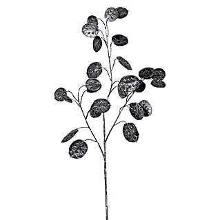 Dekozweige Lunaria (68 cm, Schwarz)