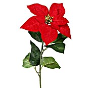 Kunstblume Poinsettia (55 cm, Rot) | BAUHAUS