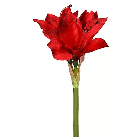 Kunstblume Amaryllis