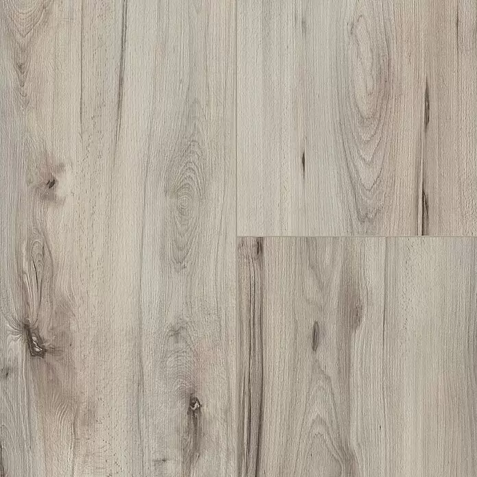 LOGOCLIC Vinto Laminat Wide Buche Fabria1.288 x 330 x 8 mm, Landhausdiele, Buche Fabria