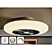 Voltomat Deckenventilator mit LED-Beleuchtung (Silber, Weiß, 60 cm, 40 W, Warmweiß) | BAUHAUS