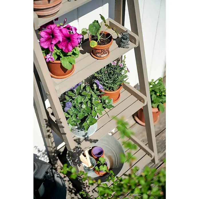 Butenkist Blumentreppe GESA - 40 x 48 x 105 cm, Nadelholz, Warm Grey - Ein dreistufiges Pflanzenregal aus Holz mit verschiedenen Topfpflanzen, darunter Petunien und Nelken, die eine dekorative Gartenausstellung bieten.