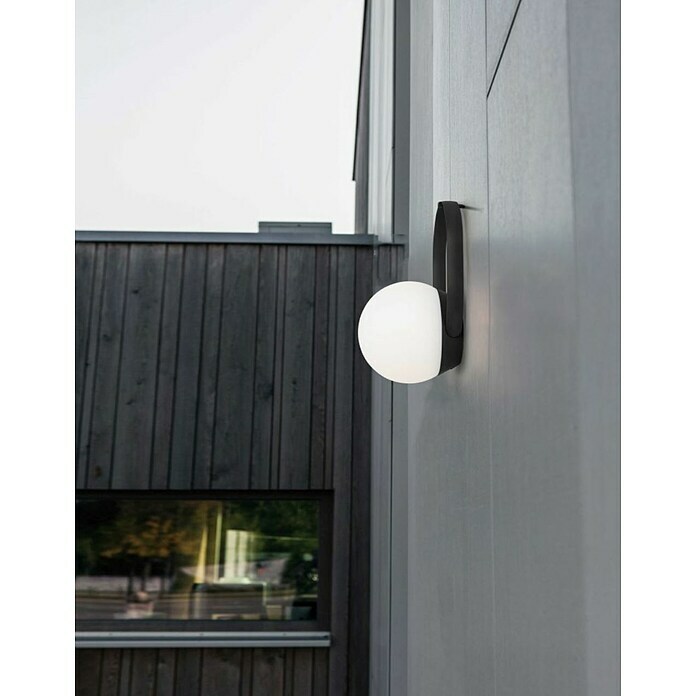 Lutec Akumulatorska namizna svetilka CARDI  (3,3 W, Do x Š x V: 17,3 x 16 x 22,3 cm, RGBW) | Namizne LED svetilke | Namizne svetilke | Svetila | Elektro in svetila | Izdelki | BAUHAUS