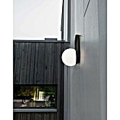 Lutec Akumulatorska namizna svetilka CARDI  (3,3 W, Do x Š x V: 17,3 x 16 x 22,3 cm, RGBW) | Namizne LED svetilke | Namizne svetilke | Svetila | Elektro in svetila | Izdelki | BAUHAUS