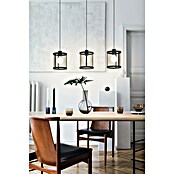 Eglo Pendelleuchte Dellow (120 W, L x B x H: 88 x 18 x 110 cm, Schwarz, Messing, E27) | BAUHAUS