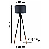 Paulmann Neordic Lámpara de pie (20 W, Negro, Altura: 153 cm)