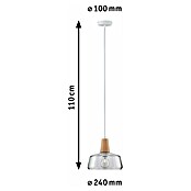 Paulmann Viseća svjetiljka (20 W, null, Visina: 110 cm)