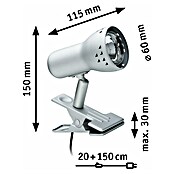 Paulmann Foco con fijación (1 luz, 40 W, Plateado)