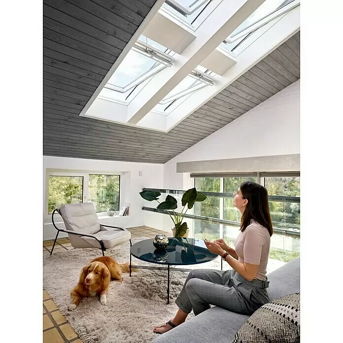 Velux App Control KIG 300 - Passend für: VELUX Solar- & Elektro-Produkte hergestellt seit 2007 - Mehrere geöffnete Dachfenster beleuchten ein modernes Wohnzimmer mit Person und Hund, für Licht und Belüftung.