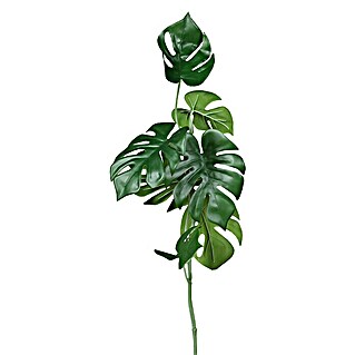 Kunstpflanze Monstera (Höhe: 80 cm, Kunststoff)