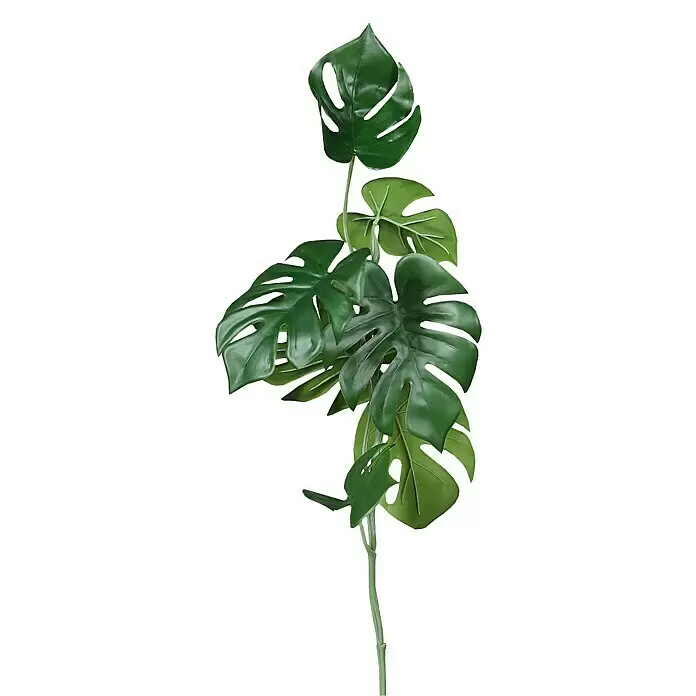 Kunstpflanze Monstera - Höhe: 80 cm, Kunststoff - Detailaufnahme