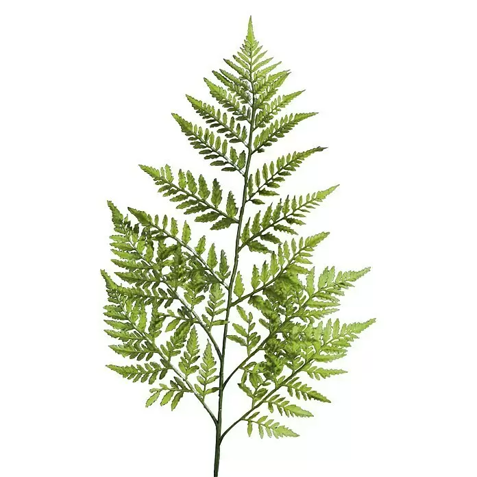 Kunstpflanze Leder Farnzweig - Höhe: 78 cm, Kunststoff - Ein einzelner, leuchtend grüner Farnwedel mit zarten, filigranen Blättchen.