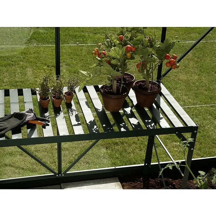 Vitavia Anzuchttisch I - 54 x 121 x 76 cm, Smaragd - Gewächshausregal mit Pflanzen und Gartenzubehör. Das grüne Metallregal bietet Platz für Tomatenpflanzen, Kräuter und Gartenhandschuhe.