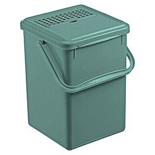 Rotho Standard-Mülleimer für BIO-Abfall (L x B x H: 23 x 22 x 28 cm, Kunststoff, 9 l)