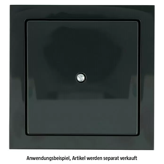 Busch-Jaeger Future Linear Blindabdeckung 1742-81 - Anthrazit, Kunststoff, IP20 - Glänzende, dunkelgraue quadratische Abdeckung mit mittiger silberner Schlitzschraube.