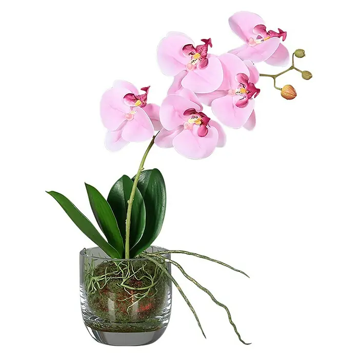 Kunstblume Orchidee - Rosa, 42 cm - Elegante rosa Orchidee in einem Glasgefäß, eine stilvolle Dekoration für jeden Raum.