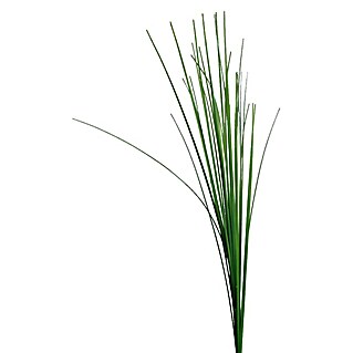 Kunstblume Isolepsis (Höhe: 70 cm, Kunststoff)