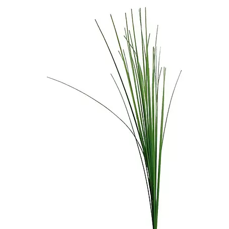 Kunstpflanze Isolepsis