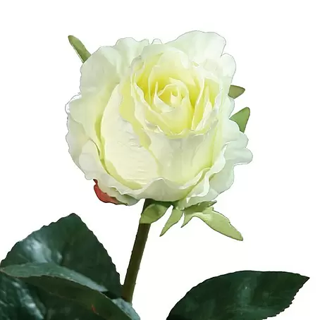 Kunstblume Kolumbianische Rose
