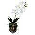 Kunstblume Orchidee 