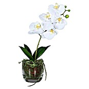 Kunstblume Orchidee (Weiß, 42 cm) | BAUHAUS